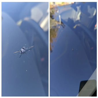 windshield 1